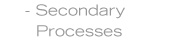 Secondary Prosesses